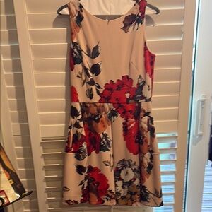 Floral Sleeveless Dress by Taylor -Cream and Red